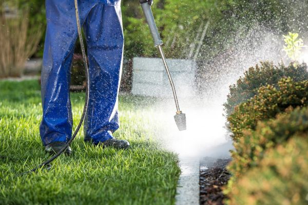 Cost of Curb Cleaning in West Chester