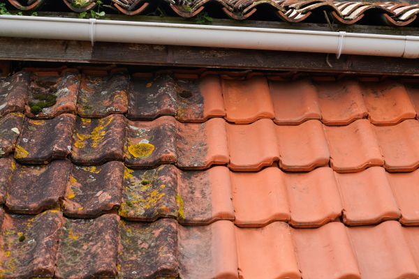 Industrial Roof Cleaning in West Chester